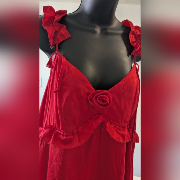 Red Rose Dress - Picture 2 of 6